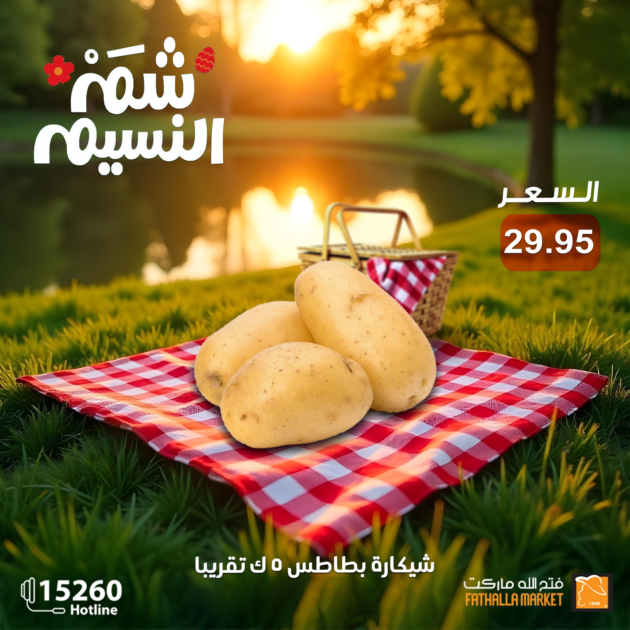 fathalla offers from 19apr to 16apr 2025 عروض فتح الله من 19 إبريل حتى 16 إبريل 2025 صفحة رقم 21